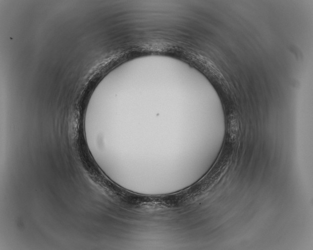 X0000113120544200909251115