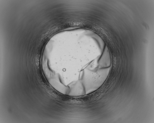 X0000113120545200909251115