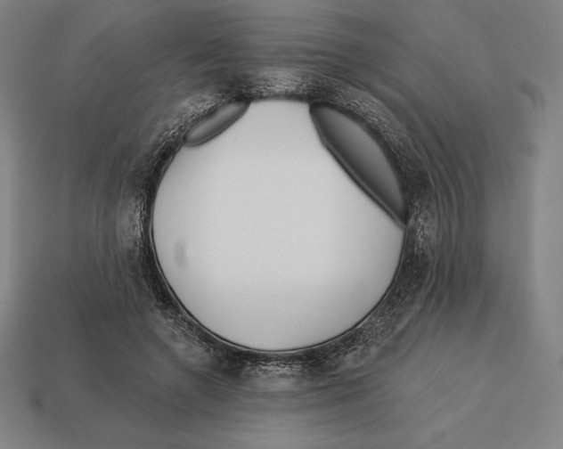 X0000113120546200909251115