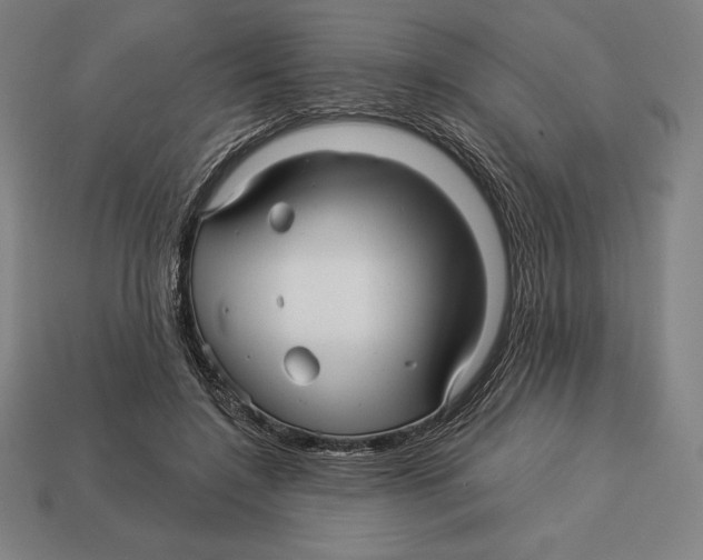 X0000113120548200909251115