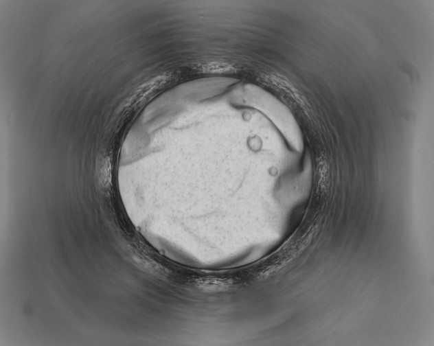 X0000113120549200909251115