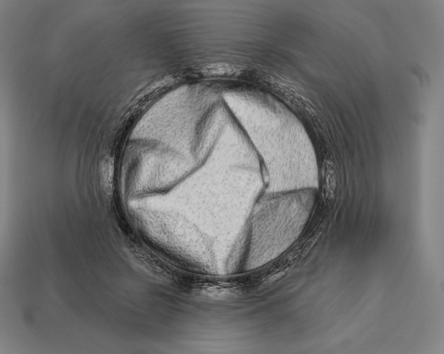 X0000113120550200909251115