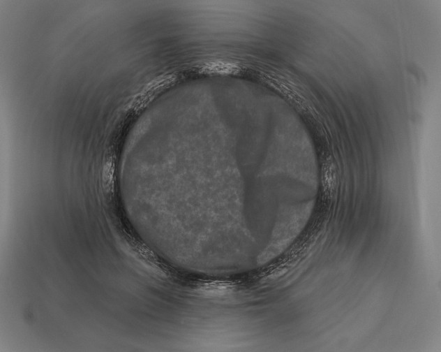 X0000113120551200909251115