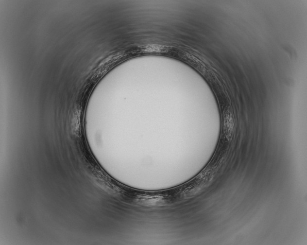 X0000113120554200909251115