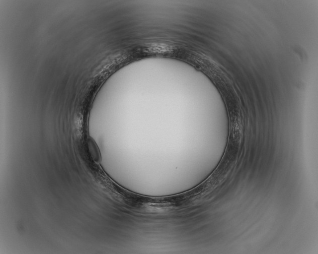 X0000113120556200909251115