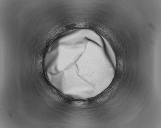 X0000113120557200909251115