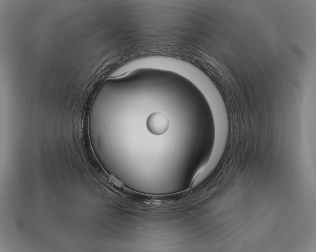 X0000113120558200909251115