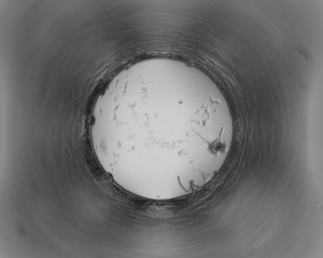 X0000113120560200909251115
