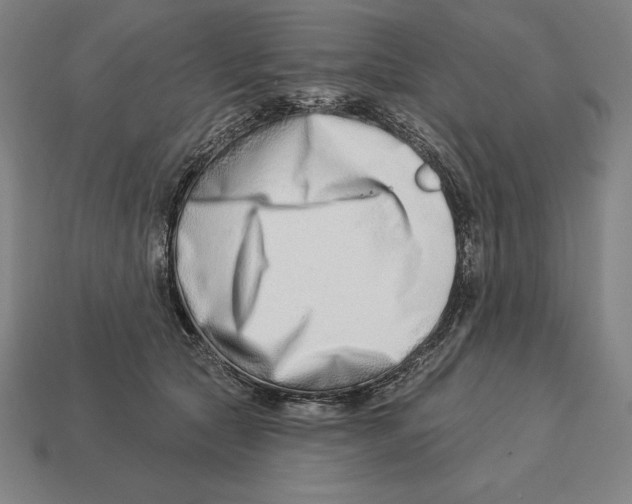 X0000113120561200909251115