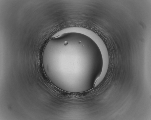X0000113120562200909251115