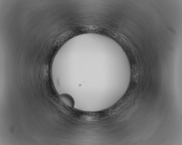 X0000113120563200909251115