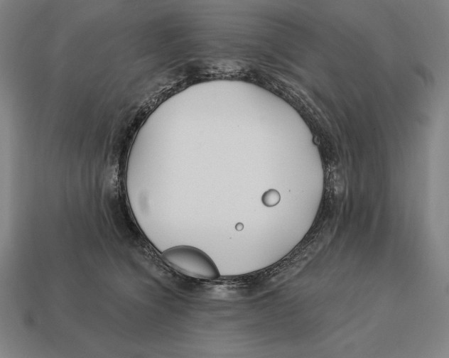 X0000113120564200909251115