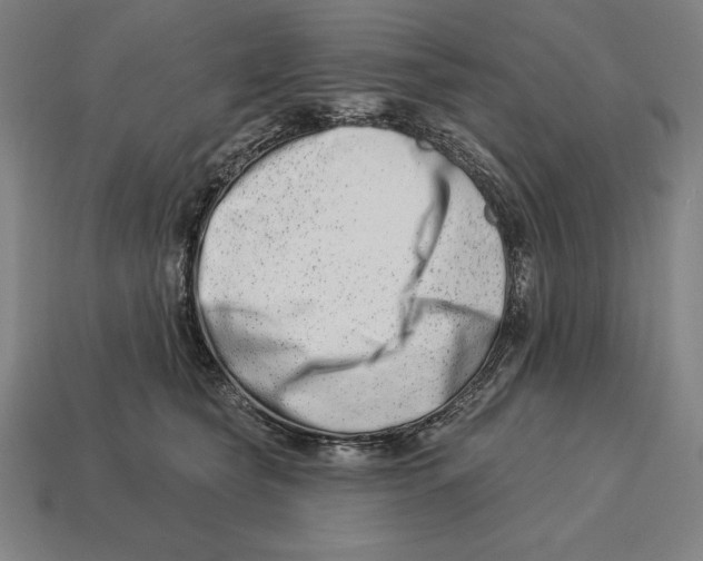 X0000113120565200909251115