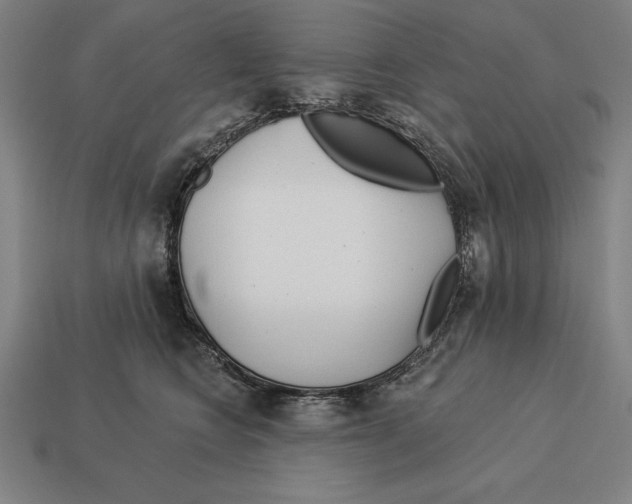 X0000113120566200909251115