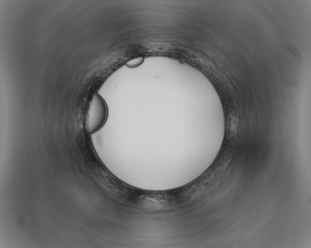 X0000113120567200909251115