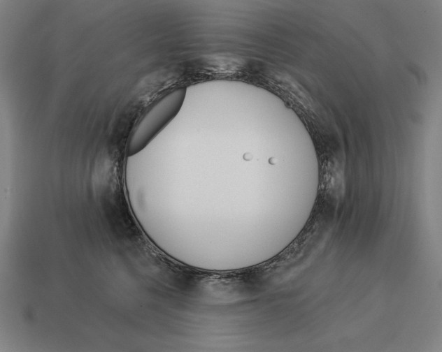 X0000113120568200909251115