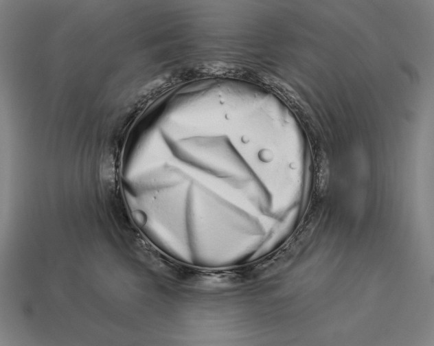 X0000113120569200909251115