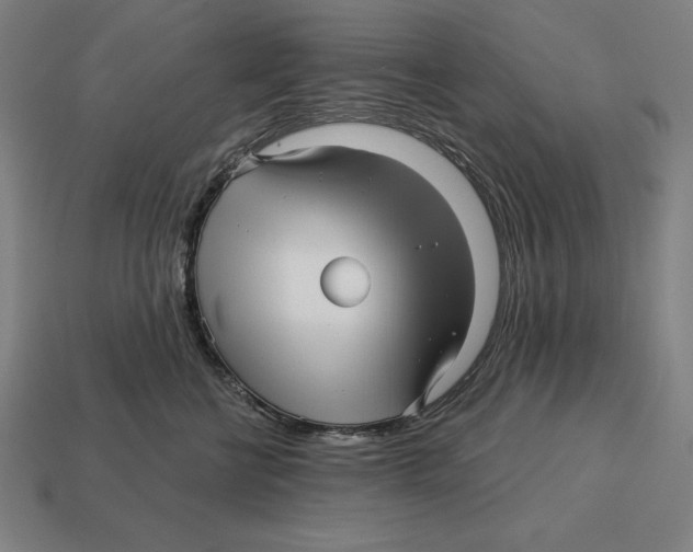 X0000113120570200909251115