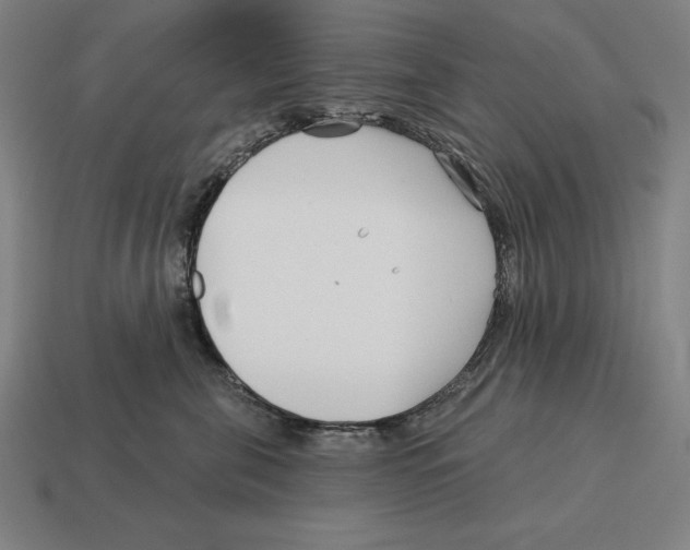X0000113120571200909251115