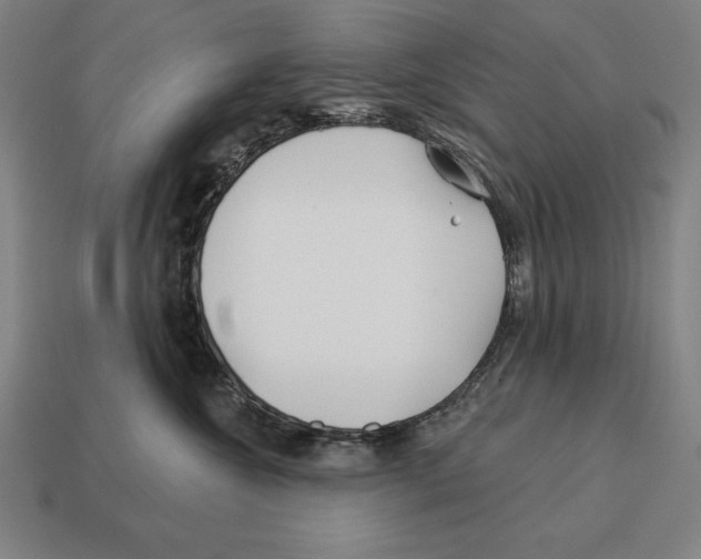 X0000113120572200909251115