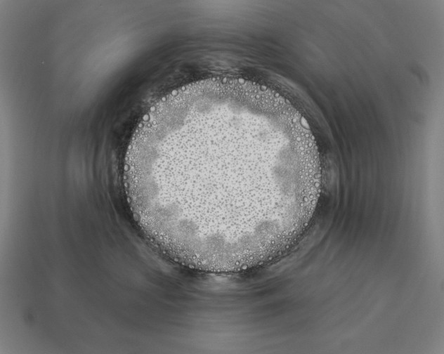 X0000113120573200909251115