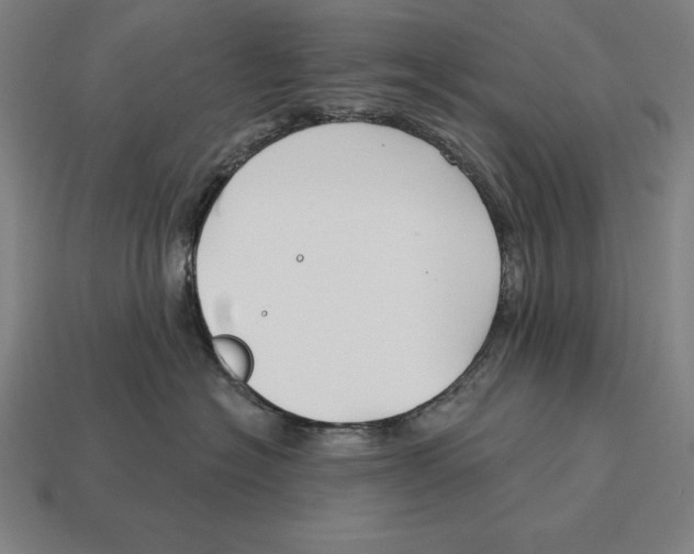 X0000113120574200909251115