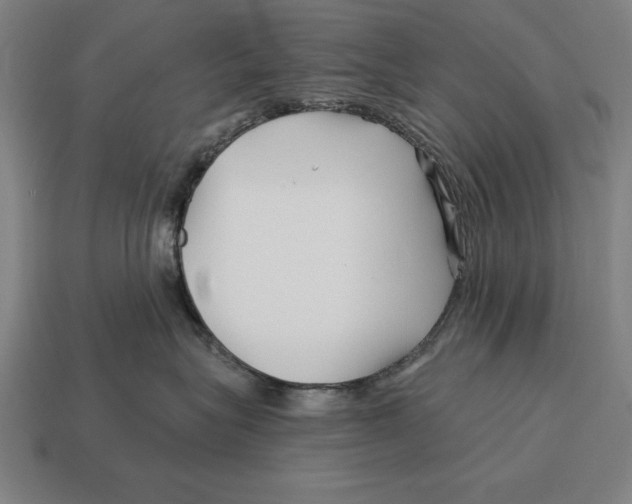 X0000113120575200909251115