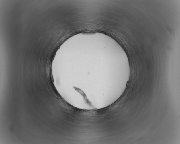 X0000113120576200909251115