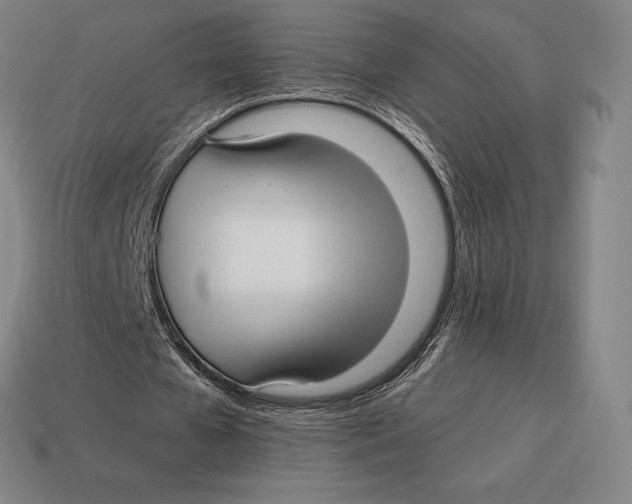 X0000113120577200909251114