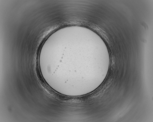 X0000113120578200909251114