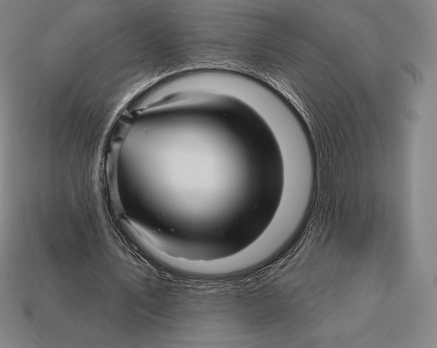 X0000113120579200909251114