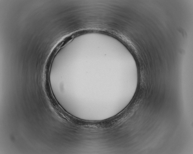 X0000113120580200909251114