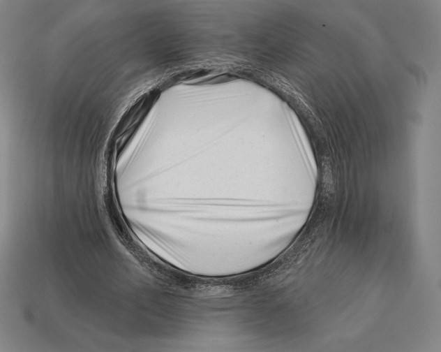 X0000113120582200909251114