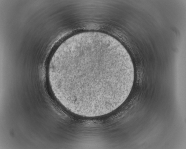 X0000113120584200909251114