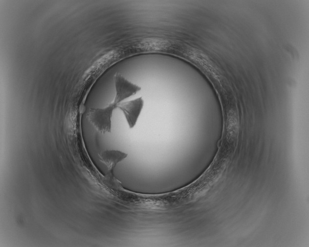 X0000113120585200909251114