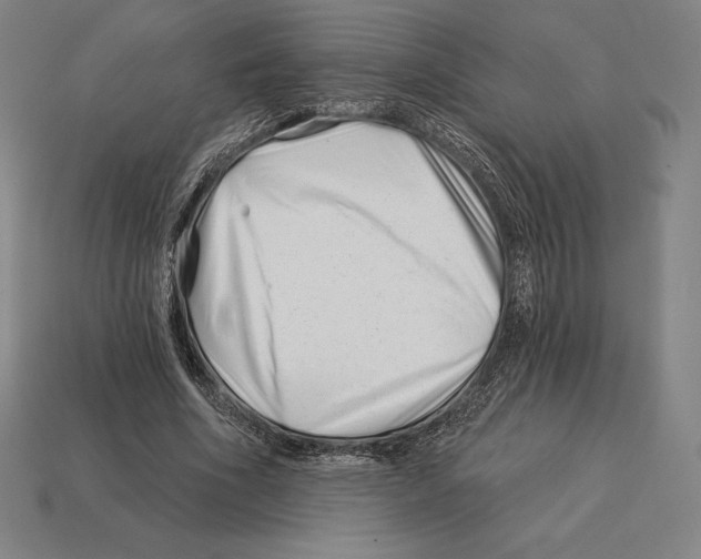 X0000113120586200909251114