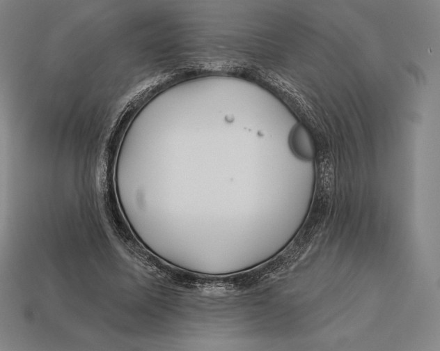 X0000113120587200909251114