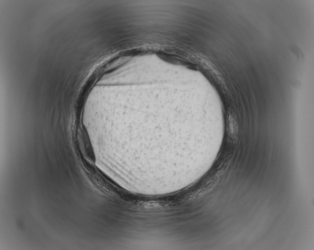 X0000113120588200909251114