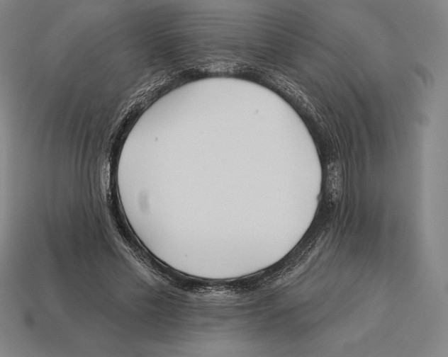 X0000113120589200909251114