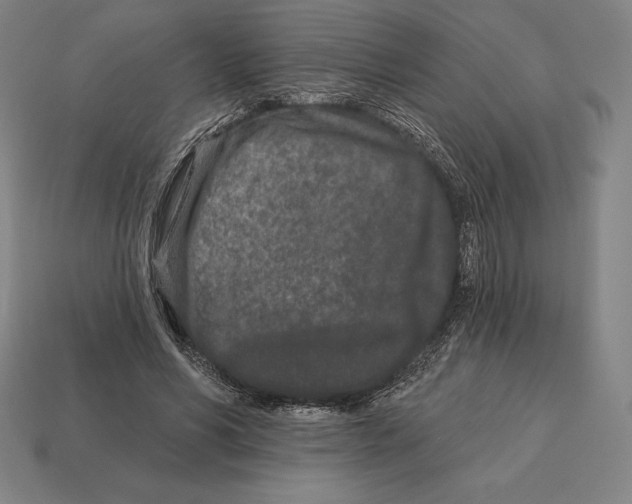 X0000113120590200909251114