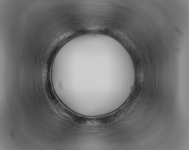 X0000113120591200909251114