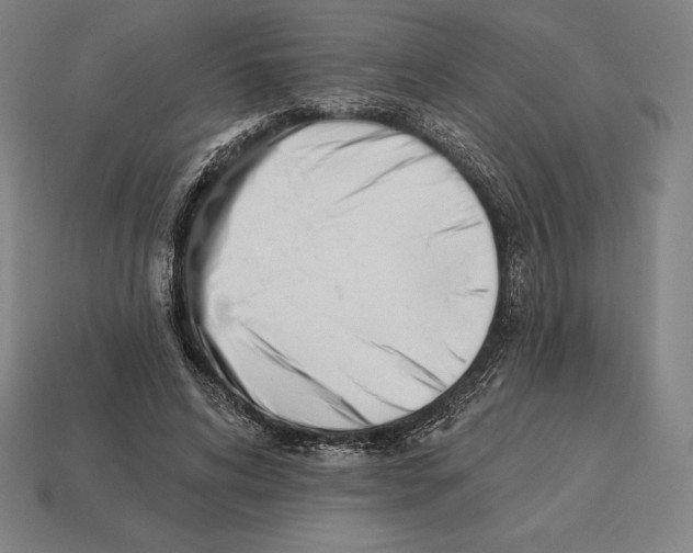 X0000113120592200909251114