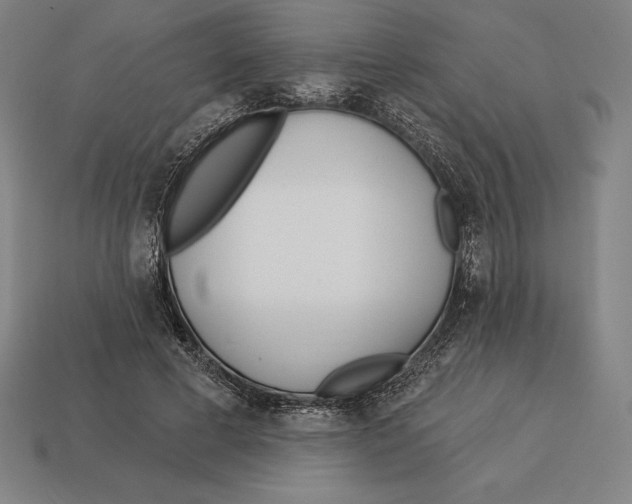 X0000113120593200909251114