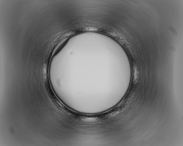 X0000113120594200909251114