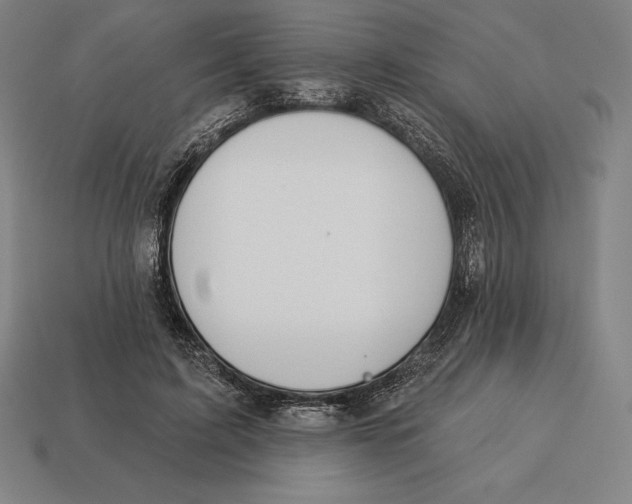 X0000113120595200909251114