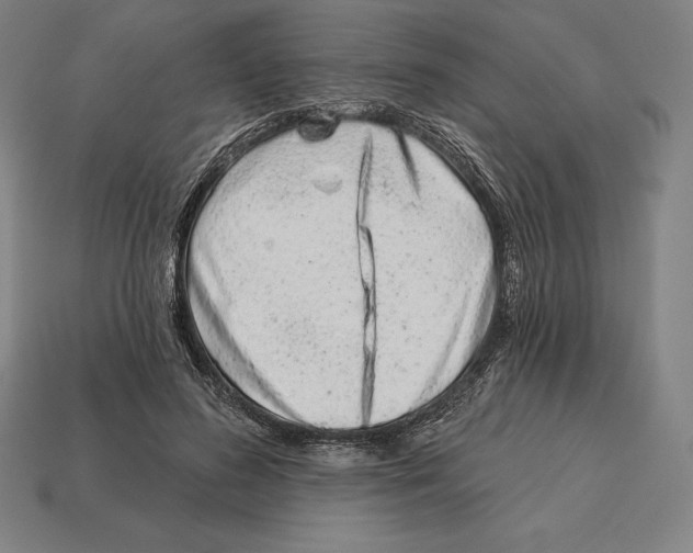 X0000113120596200909251114