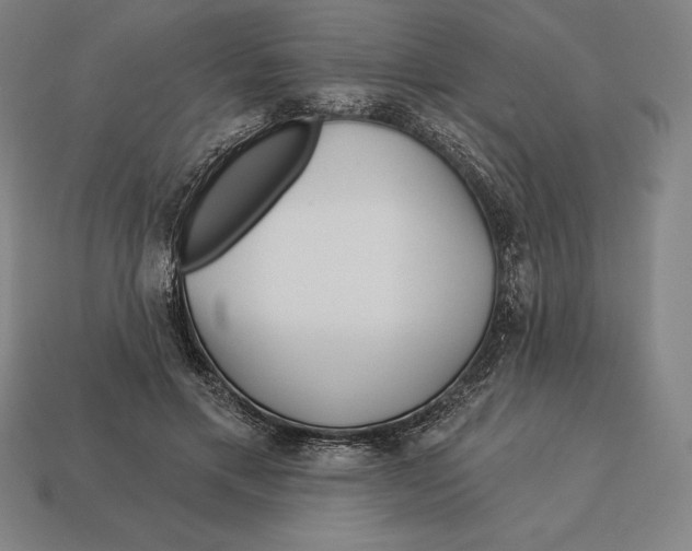 X0000113120597200909251114