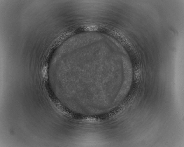 X0000113120598200909251114
