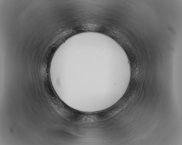 X0000113120599200909251114