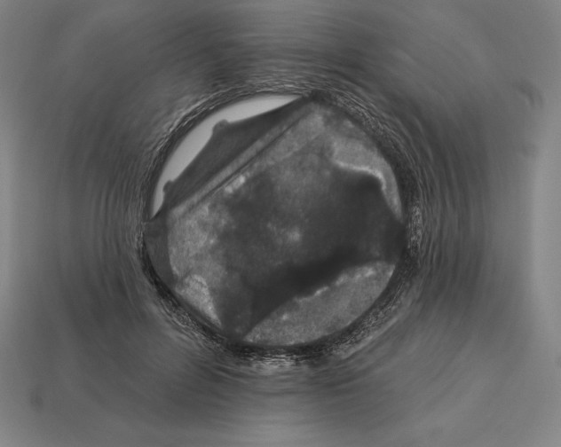 X0000113120600200909251114